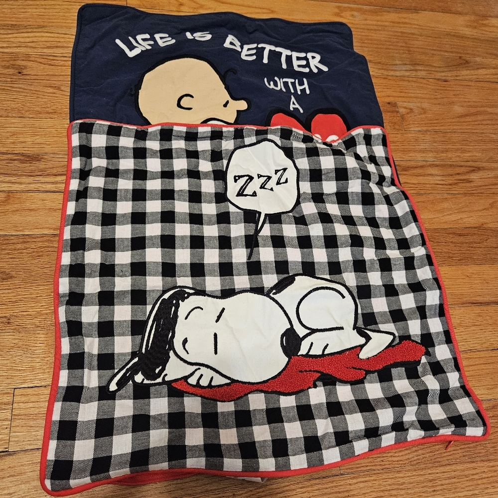 Pottery Barn Teen PEANUTS Pillow Sham Cases Pair (2)